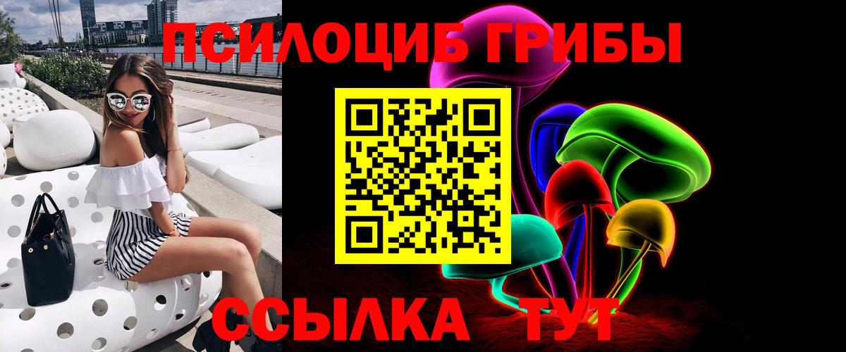 Галлюциногенные грибы Cubensis Тейково