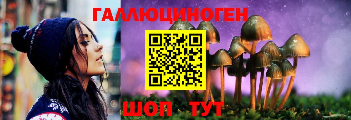 Псилоцибиновые грибы GOLDEN TEACHER  Псилоцибиновые грибы прущие грибы  Тейково  Вход с VPN 