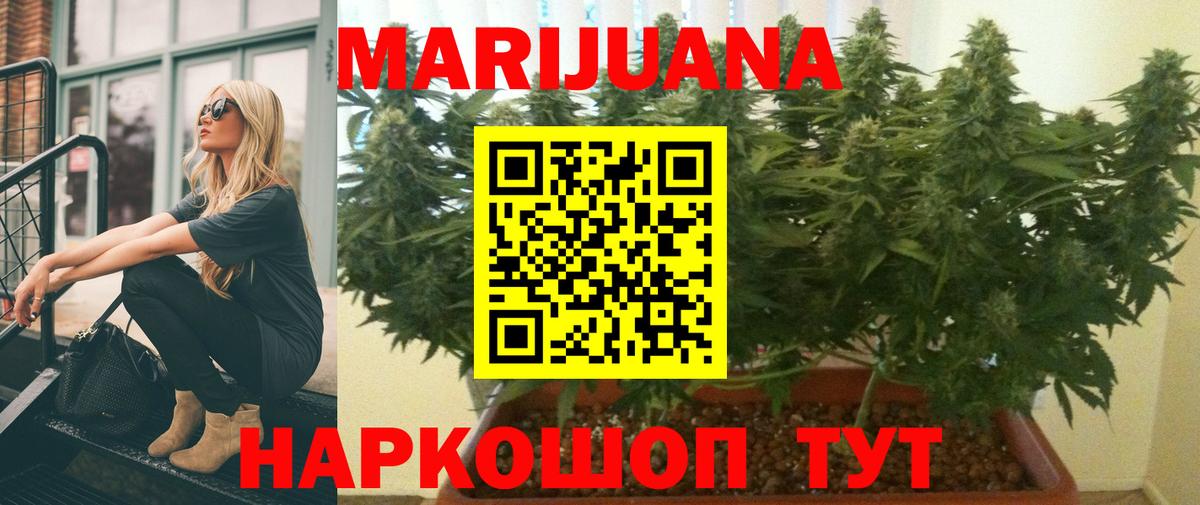 Шишки марихуана план  Вход с VPN  Тейково  МАРИХУАНА White Widow  Каннабис Ganja 