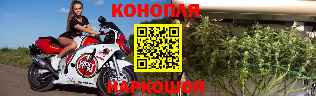 Бошки Шишки тримм Тейково